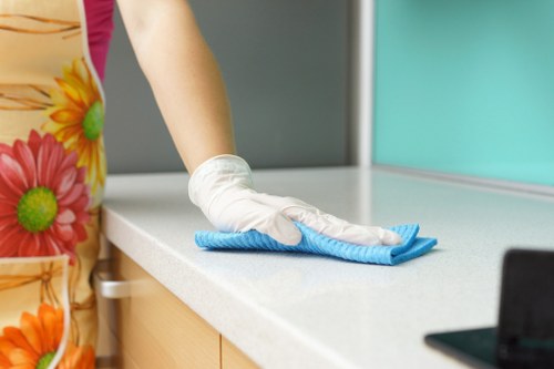 Regular cleaning support for a Merton home