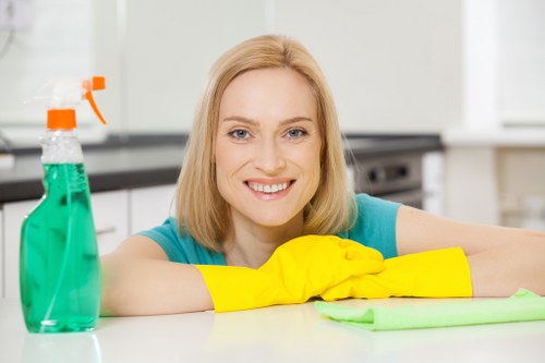Deep cleaning equipment used for pet stain removal on upholstery