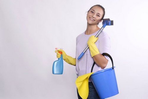 Cleaner maintaining a flat in Merton during a scheduled visit