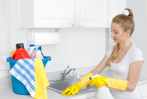 Final review of service terms and conditions for a cleaning booking
