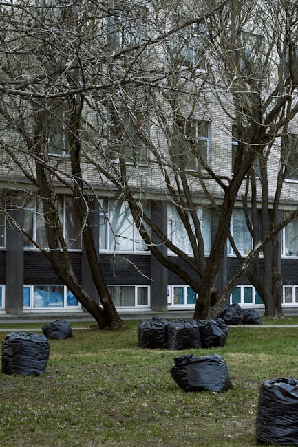 An exterior view of a residential building with multiple windows and a brick facade, partially obscured by leafless trees with thick branches. The ground in front of the building is grassy and scattered with numerous black garbage bags, indicating a clear-out or waste removal process. The scene suggests a recent or ongoing bulk waste removal effort, with the bags arranged on the lawn. The lighting is natural, likely during daytime, highlighting the cleanliness of the area and the contrast between the dark bags and the surrounding environment. Mentioned in this context, Cleaners Merton provides professional cleaning services for deep cleaning and waste removal, ensuring hygienic and tidy residential or commercial spaces as part of their cleaning solutions.